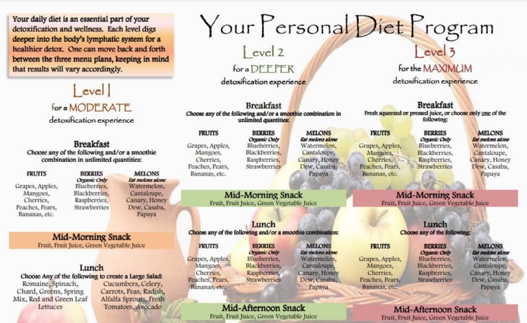 Diet Program Recommendations diagram