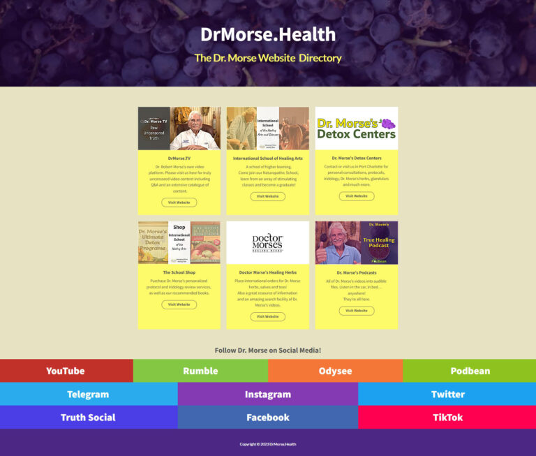 Screenshot of drmorse.health website