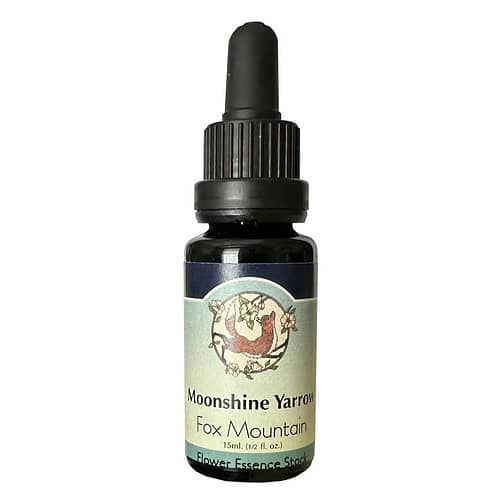 Moonshine Moonshine Yarrow by Fox Mountain