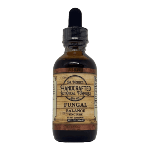 Fungal Balance (2oz Tincture) - HBF