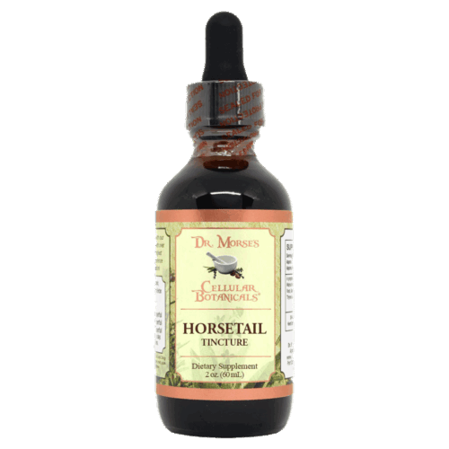 Horsetail (2oz Tincture) - DRM